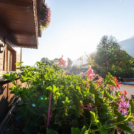 فندق Rietzer Hof 3*
